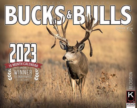 Bucks & Bulls 2023 Calendar