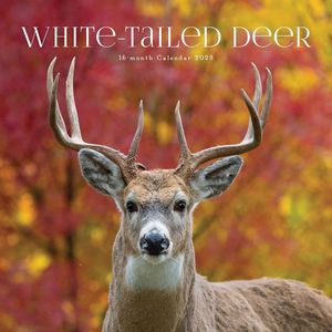 White-Tailed Deer 2023 Calendar