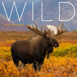 Wild 2023 Calendar