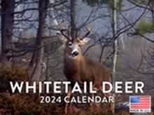 Whitetail Deer 2024 Calendar